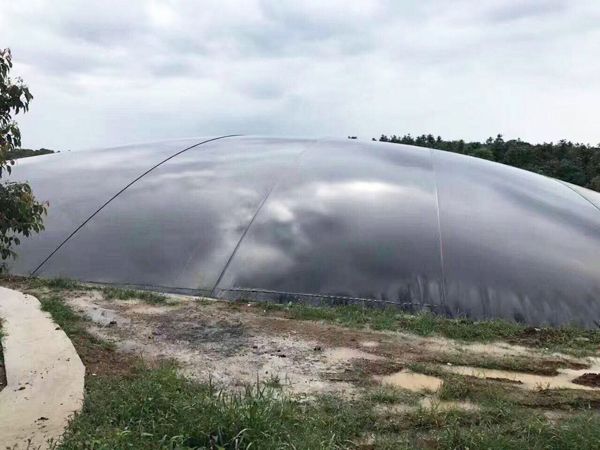 沼氣膜土工膜施工